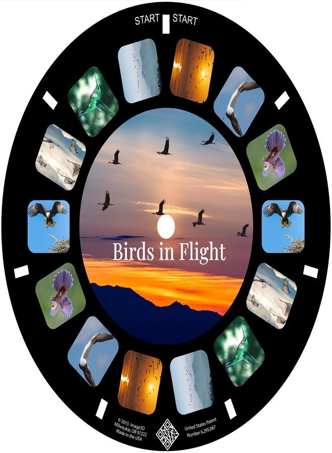 MayKo Bird Reels for Viewfinder Compatible View Master Viewers. Set of 3 (Reels Only) - Image 4